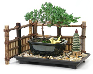 bonsai-humidity-tray