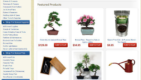 Bonsai Trees Online