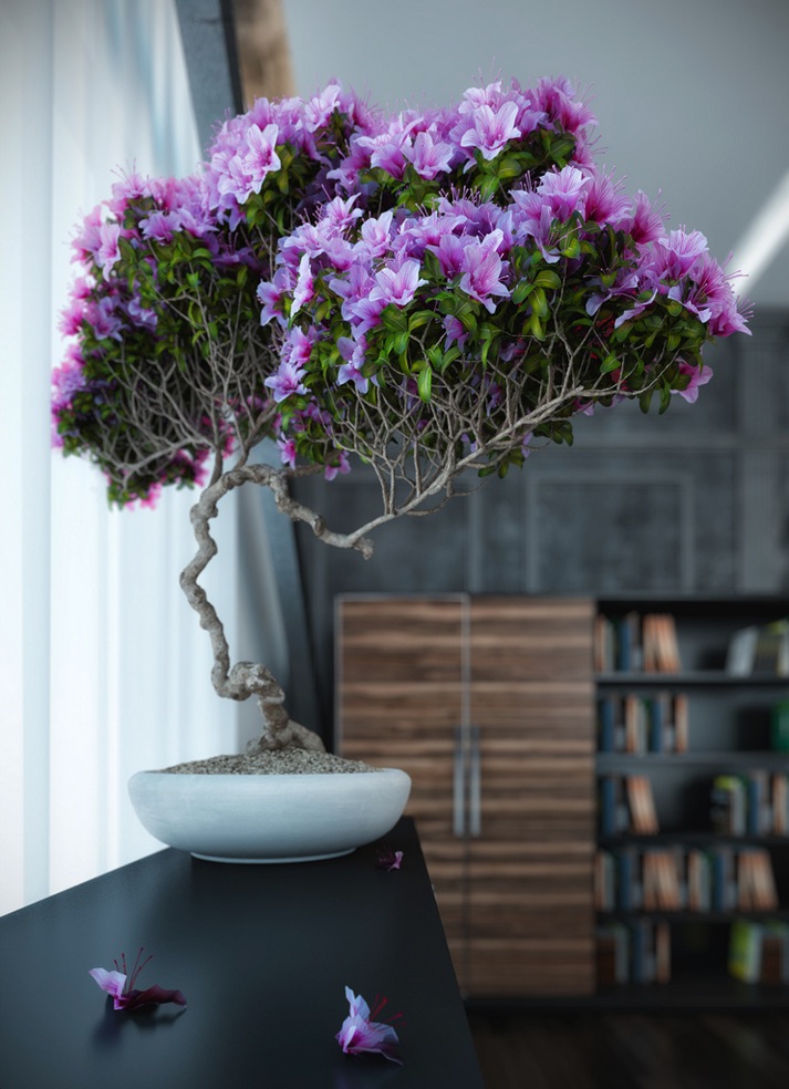 purple-bonsai-tree