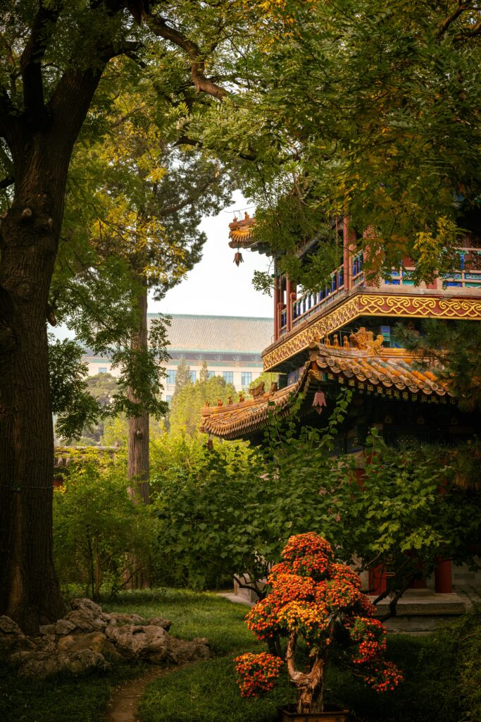 Tranquil-Autumn-Scene-in-Beijing-Garden