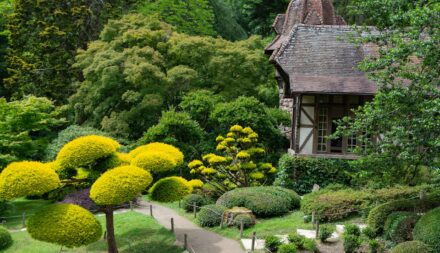 Charming Japanese Garden with Traditional Architecture