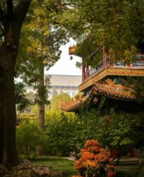 Tranquil-Autumn-Scene-in-Beijing-Garden